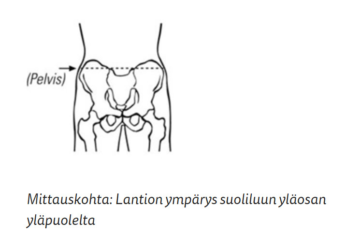 BORT Stabilo Si-tuen mittausohje