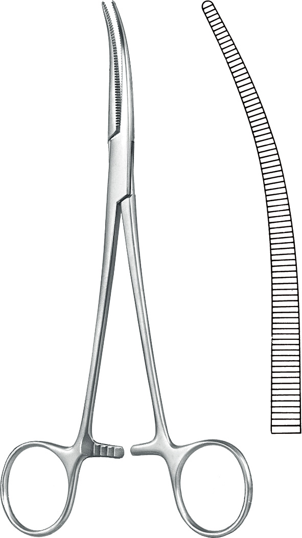 KLS Martin Crafoord pihti 24.5 cm