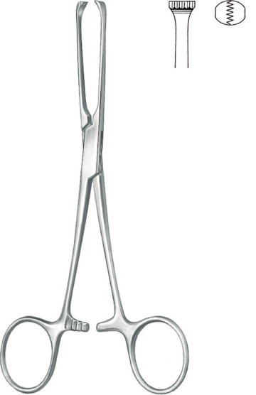 KLS Martin Allis pihti 5x6 T., 15.5 cm