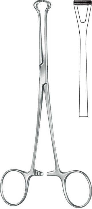 KLS Martin Babcock pihti 16 cm