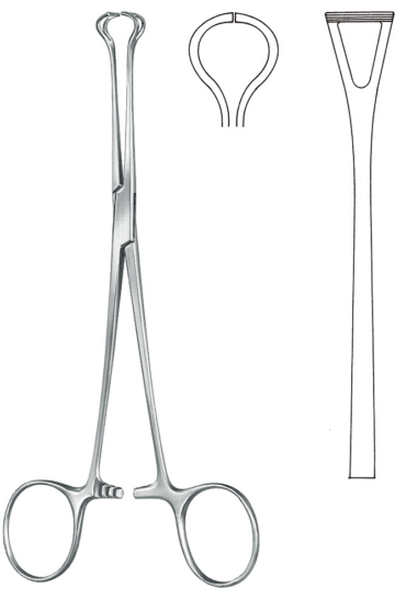 KLS Martin kudos- ja suolipihdit, Babcock, 21 cm