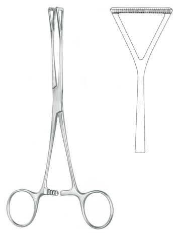 KLS Martin Duval pihti, leveä 23 cm