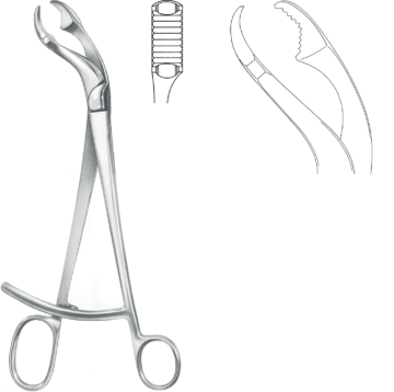 KLS Martin Verbrugge luunpitopihti 25 cm